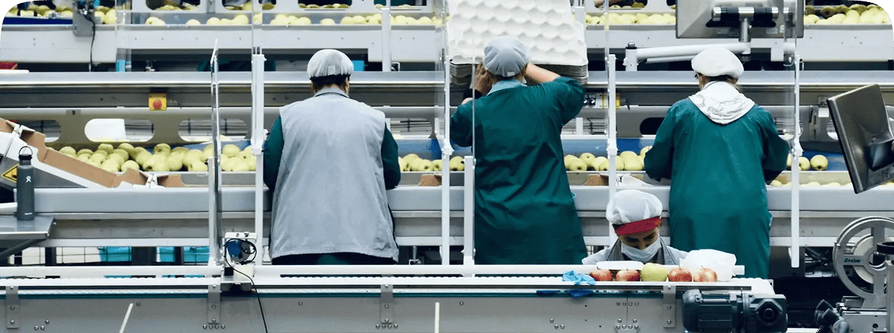 Produkcja_zdjęcie_hover_zoptymalizowane