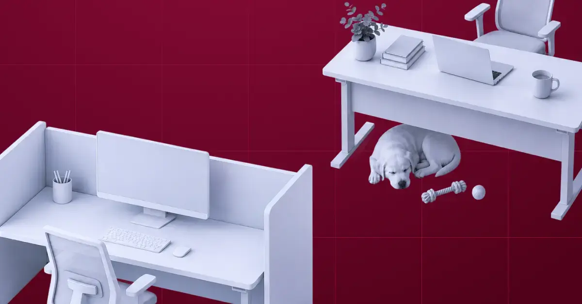 Co to jest praca hybrydowa? Podstawowe informacje - grafika do artykułu